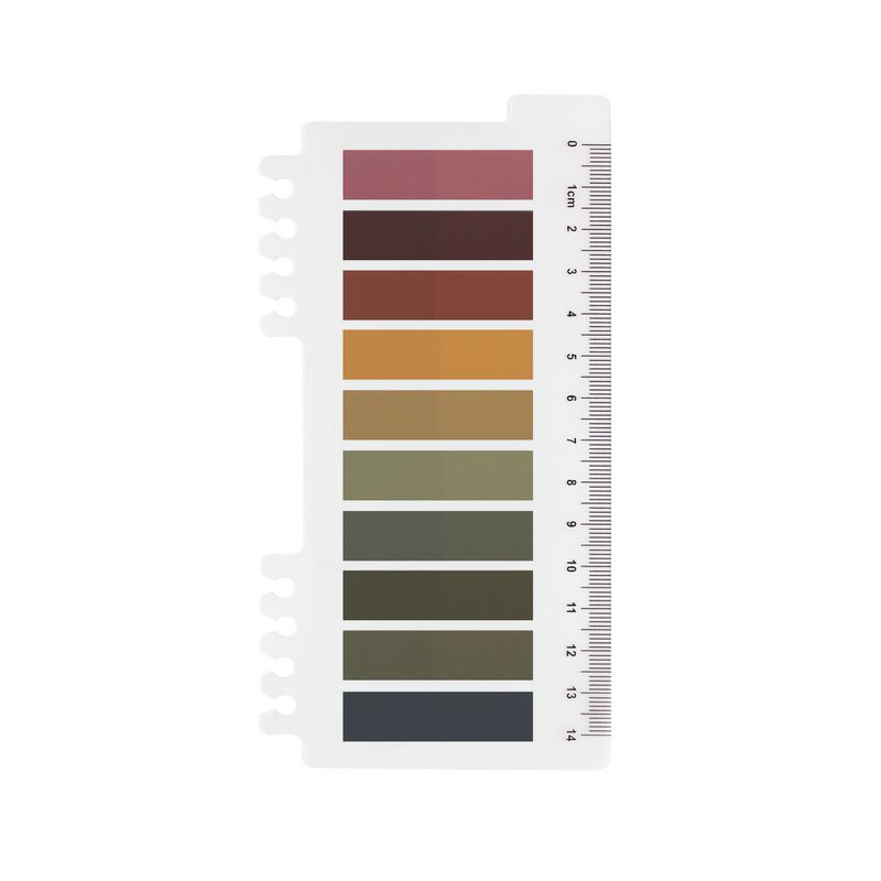 Mystic Autumn | Ordinate Farbverlauf Morandi Sticky Notes | Index Sticky Notes mit Lineal | Seitenmarkierer | Sticky Tabs | Büro Studium Schulplaner | Markierung Sticker