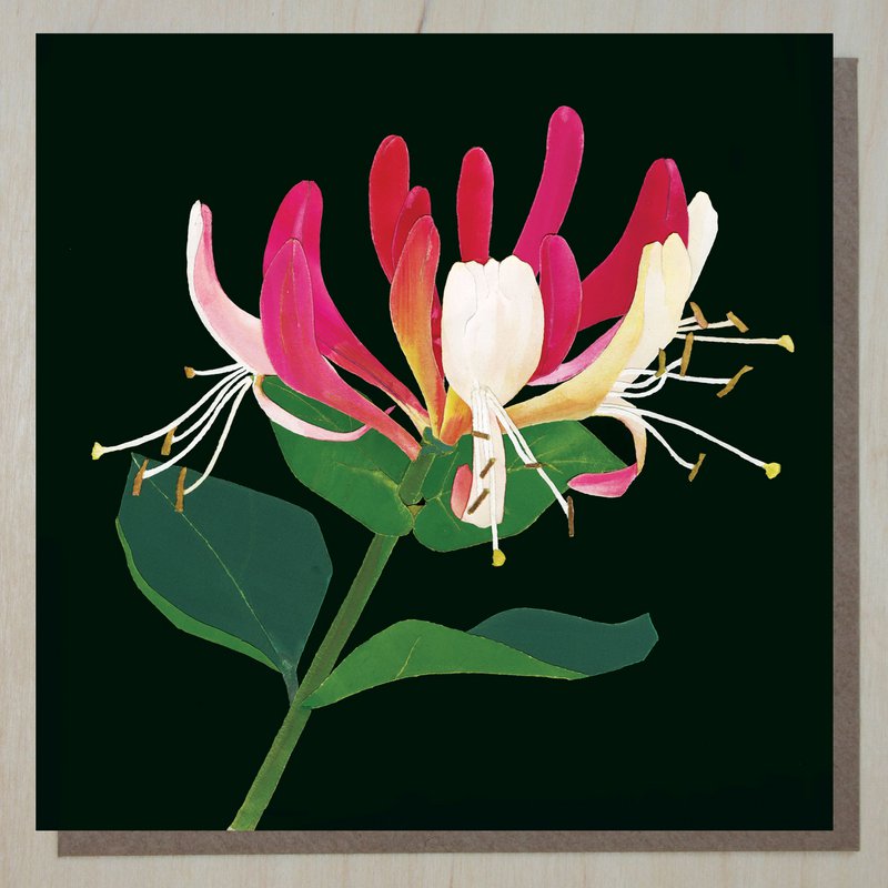 Honeysuckle Card (blomsterkort)