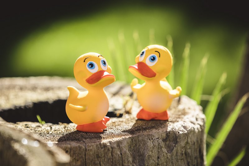 Bath Duckling