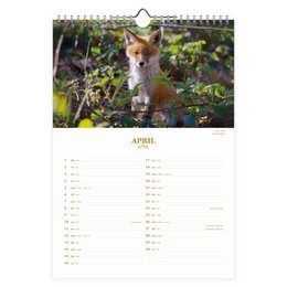 0011 Dutch Wildlife 2027