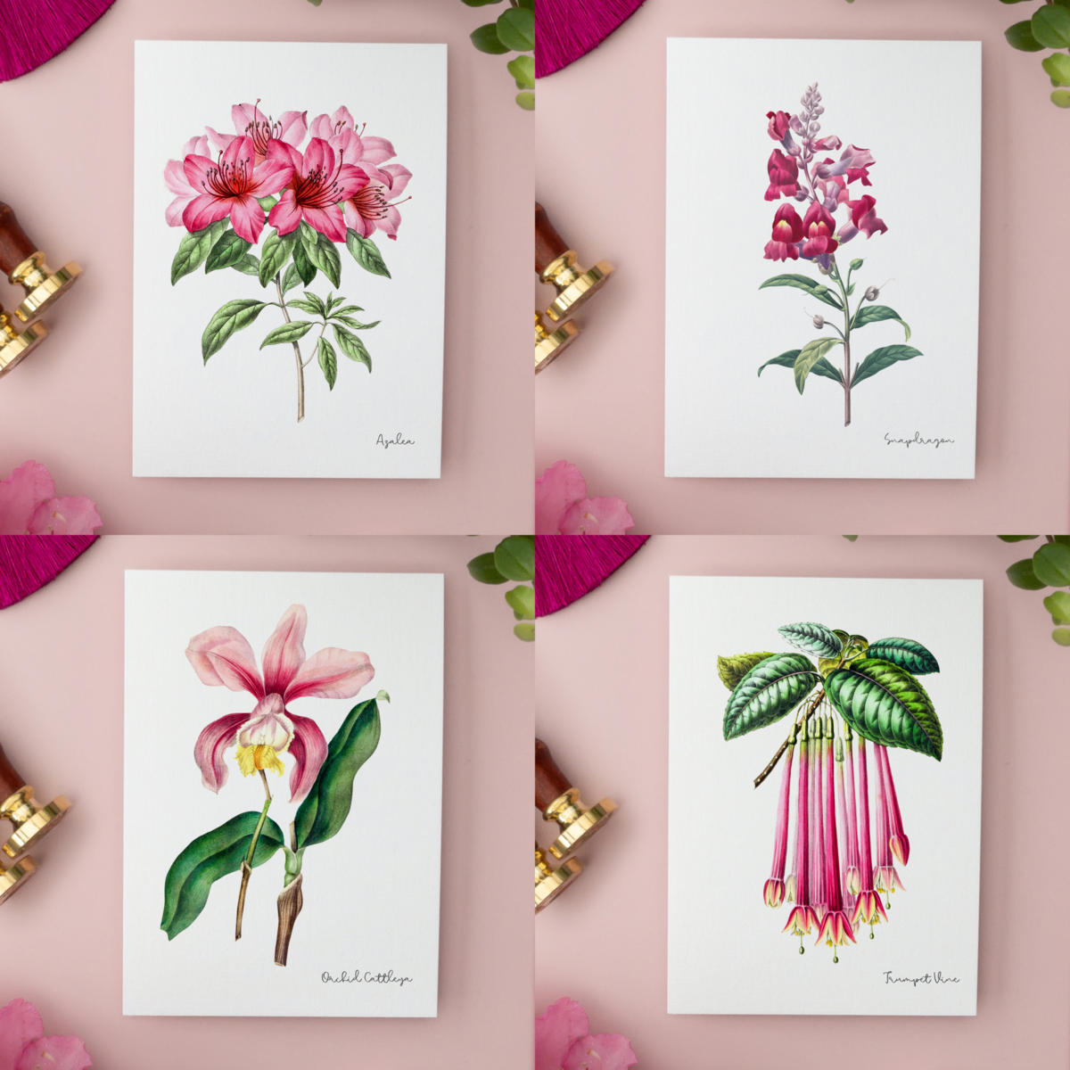 Pink Pack - Handgemachte Postkarten A6 mit Umschlag - Botanical Vintage