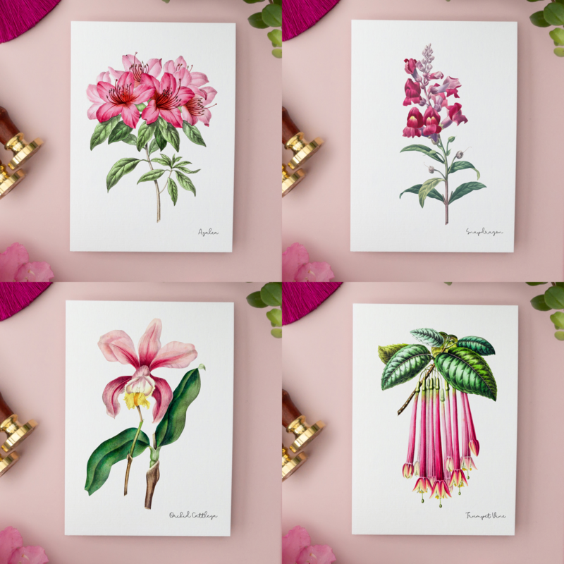 Pink Pack - Handgemachte Postkarten A6 mit Umschlag - Botanical Vintage