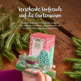 Saatgut-Adventskalender "Winterlandschaft"