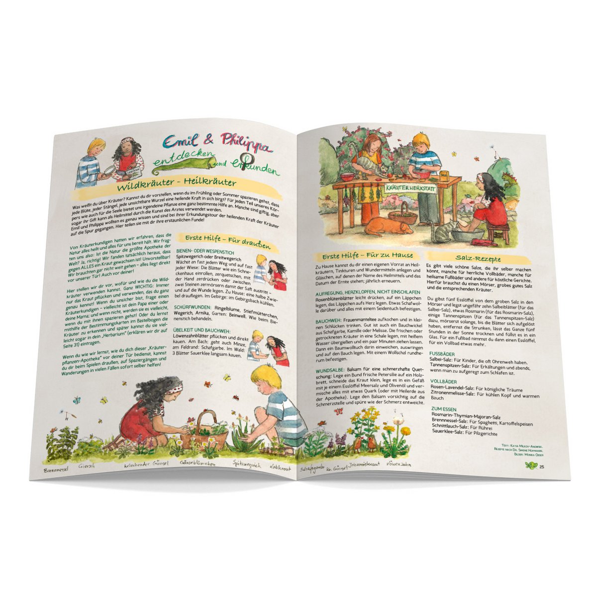 Magazine pour enfants Waldorf - CURTAIN ON Numéro 131 Herbes sauvages, herbes médicinales