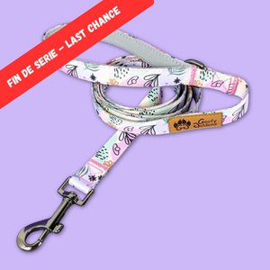 Pastel dog leash