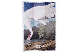 PINE CANVAS SCREEN 120X2,5X180 GARZA REVERSIBLE MB193787