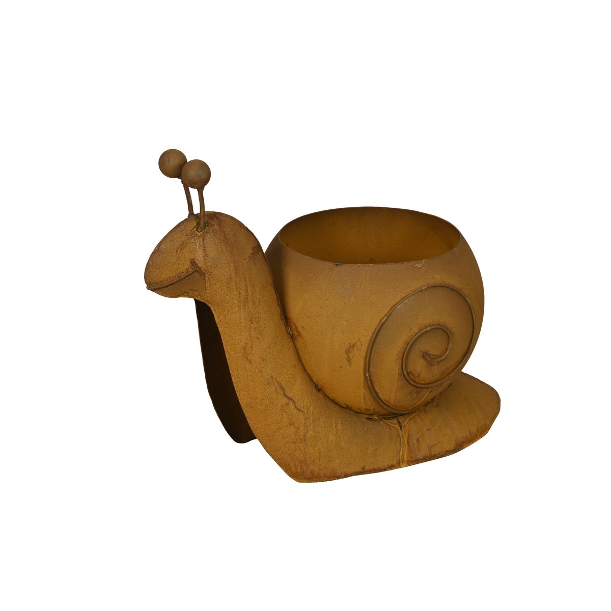 Pflanzer Schnecke