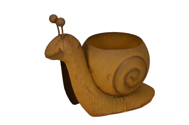 Pflanzer Schnecke