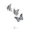 Tatouage éphémère : Envolée de Papillons