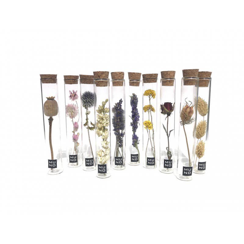 TUBE 15 CM WITH DRIED FLOWER - Gift
