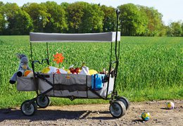 Folding handcart „Paxi”, grey