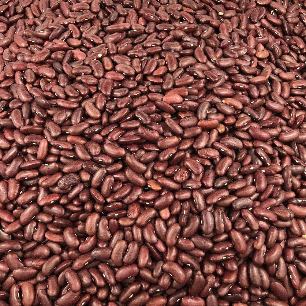 Organic Red Bean in Bulk