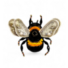 Brooch Bombus