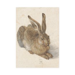 Tea Towel , Dürer, Hare
