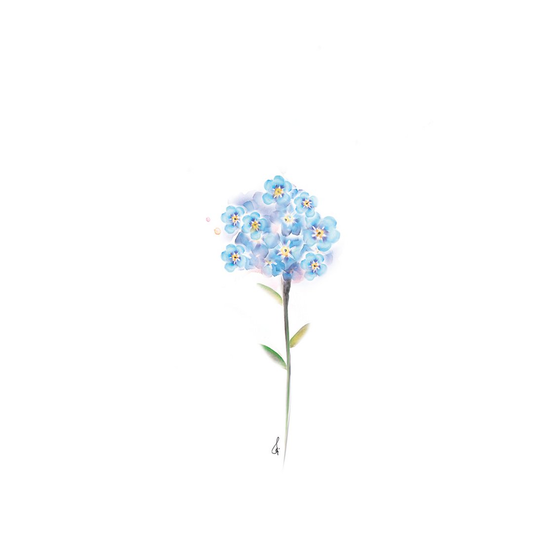 Glem mig ikke blomst Firkantet kort med konvolut
