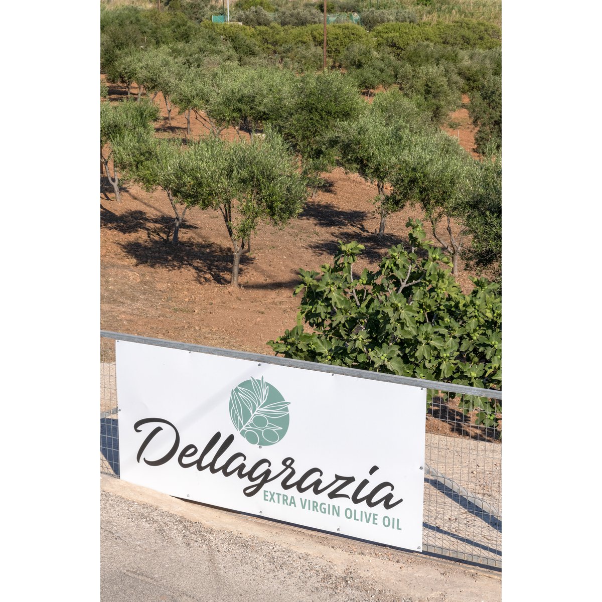 DELLAGRAZIA EXTRA VIRGIN OLIVEOIL