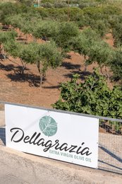 DELLAGRAZIA EXTRA VIRGIN OLIVEOIL
