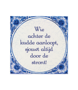 Delfter blauer Fliesen - Kudde