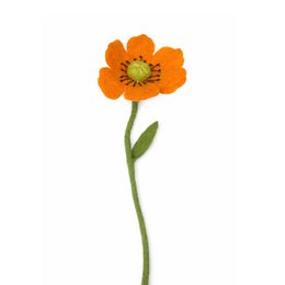 Fiore di papavero arancione