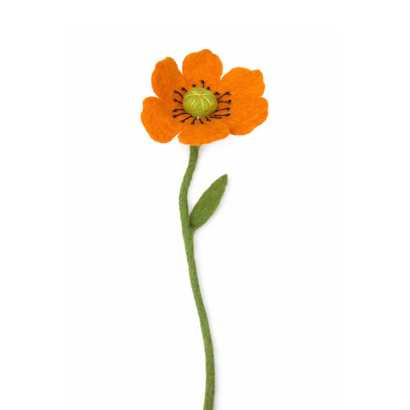 Fiore di papavero arancione