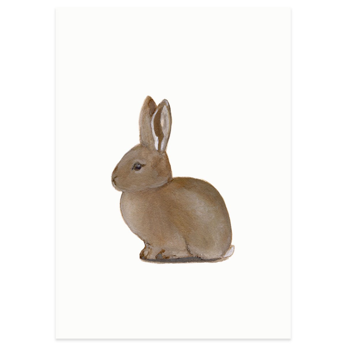 postcard | Young wild rabbit