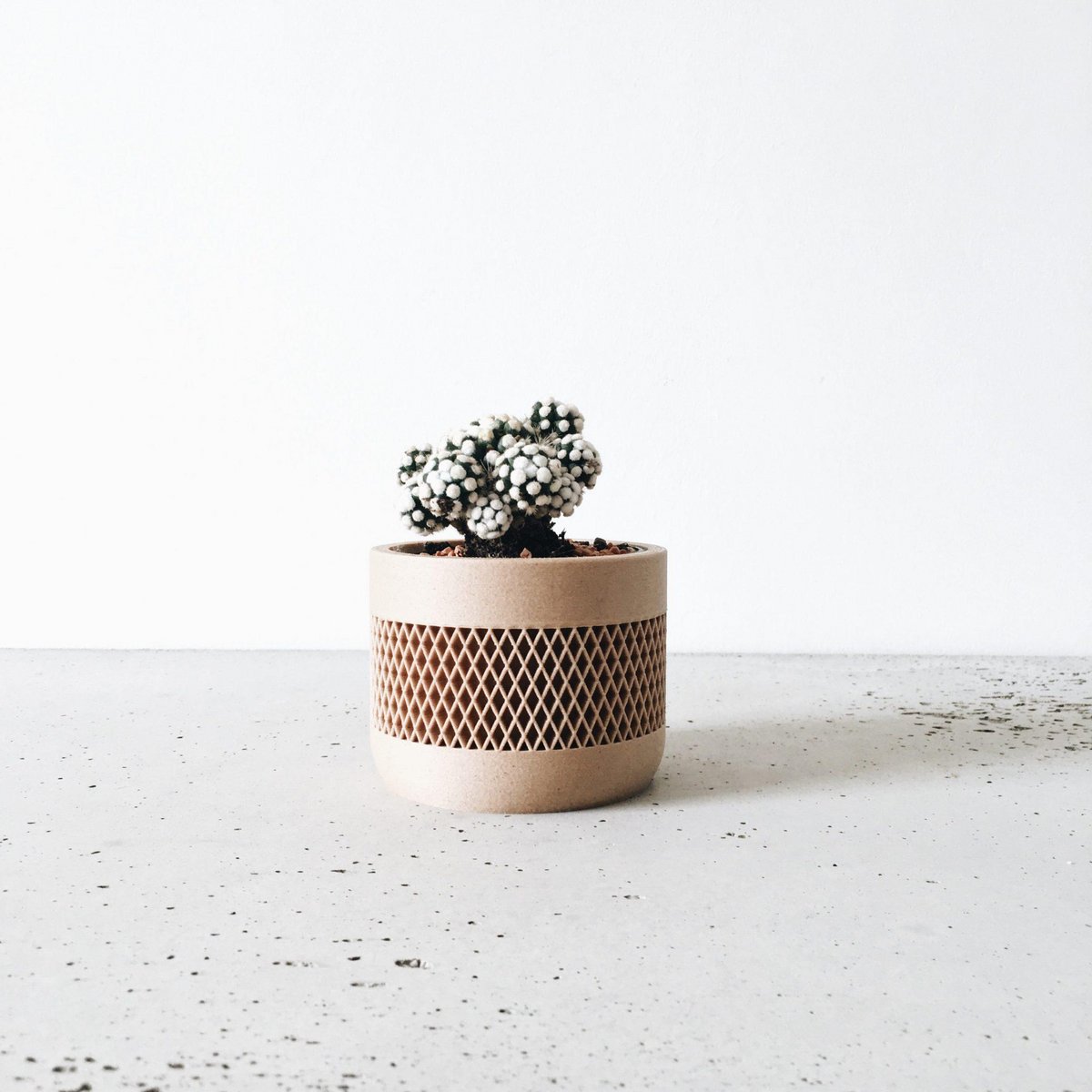 MAT Kamerplanter