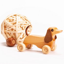Robo Dach De houten robothond