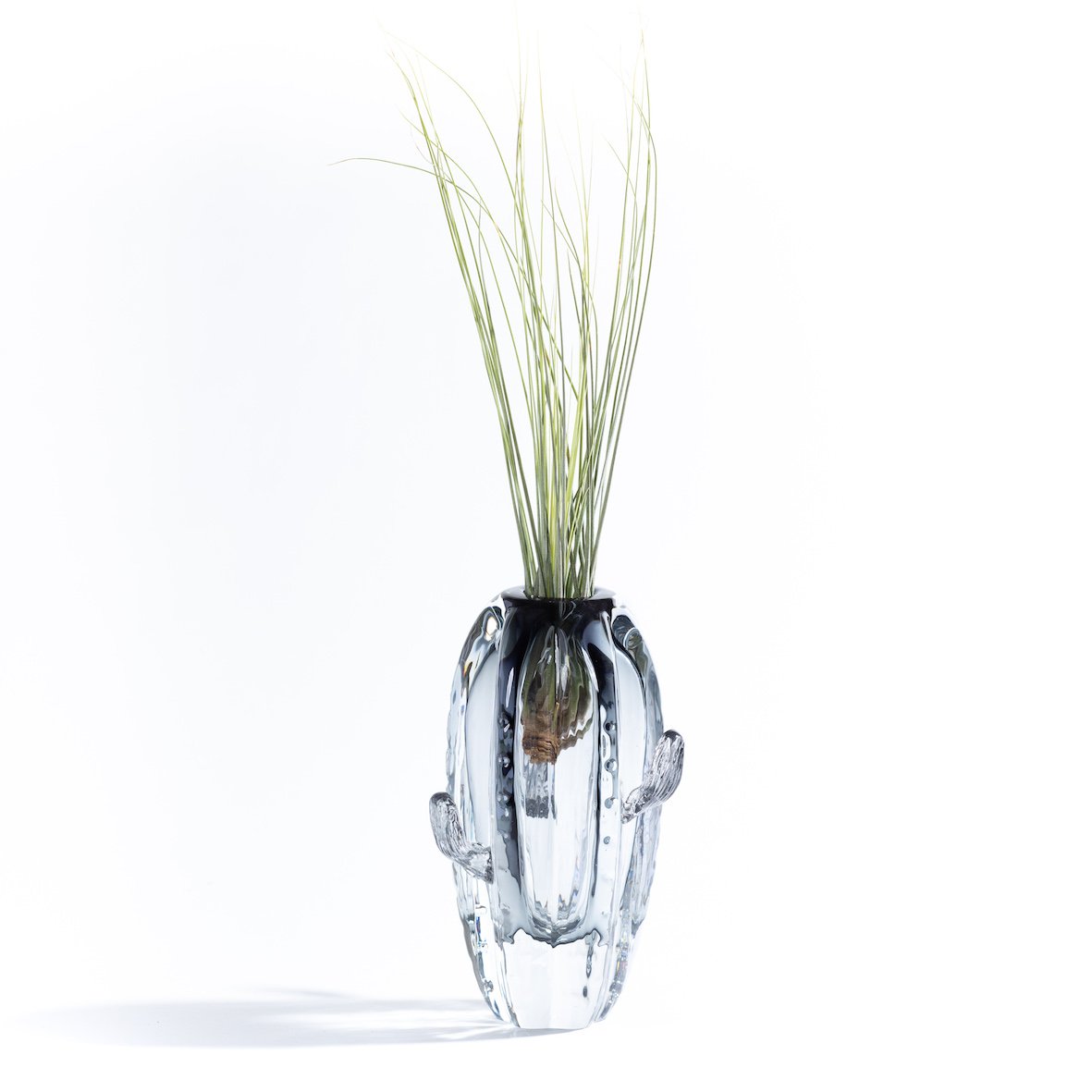 Florero grande de cactus (con planta de Tillandsia)