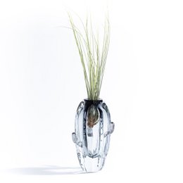 Cactus Big Vase (med Tillandsia Plant)