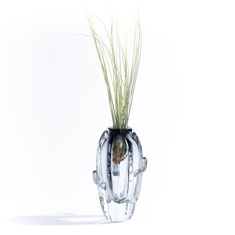 Cactus Big Vase (med Tillandsia Plant)