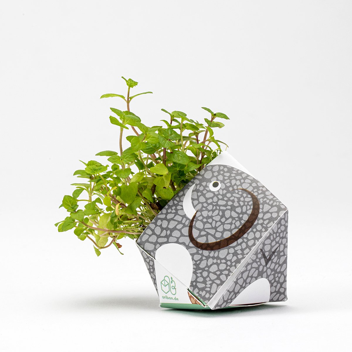 Kit Urban Jungle - Colección animales de la selva tropical