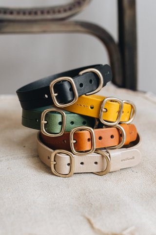 LEATHER DOG COLLAR. FIR