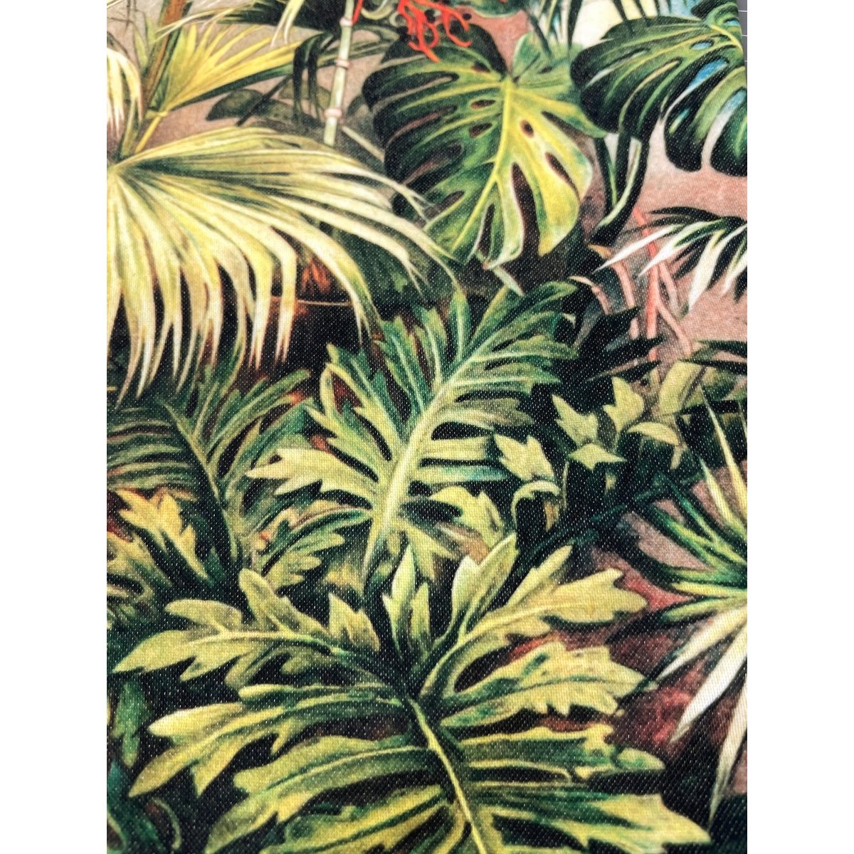 Antieke Victoriaanse botanische sierkussenhoes tropische kas | VIN007