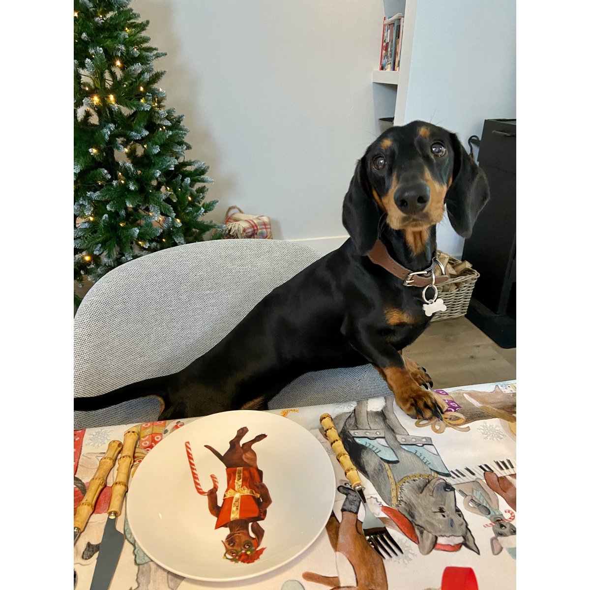 It's a wienerful Time - Set of 6 breakfast plates