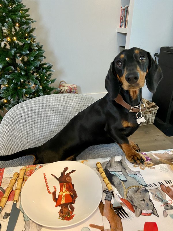 It's a wienerful Time - Sæt med 6 morgenmadstallerkener