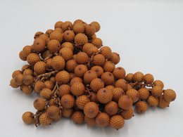 Product Import Holland