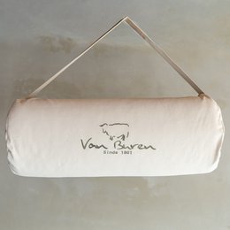 Van Buren Bolsward