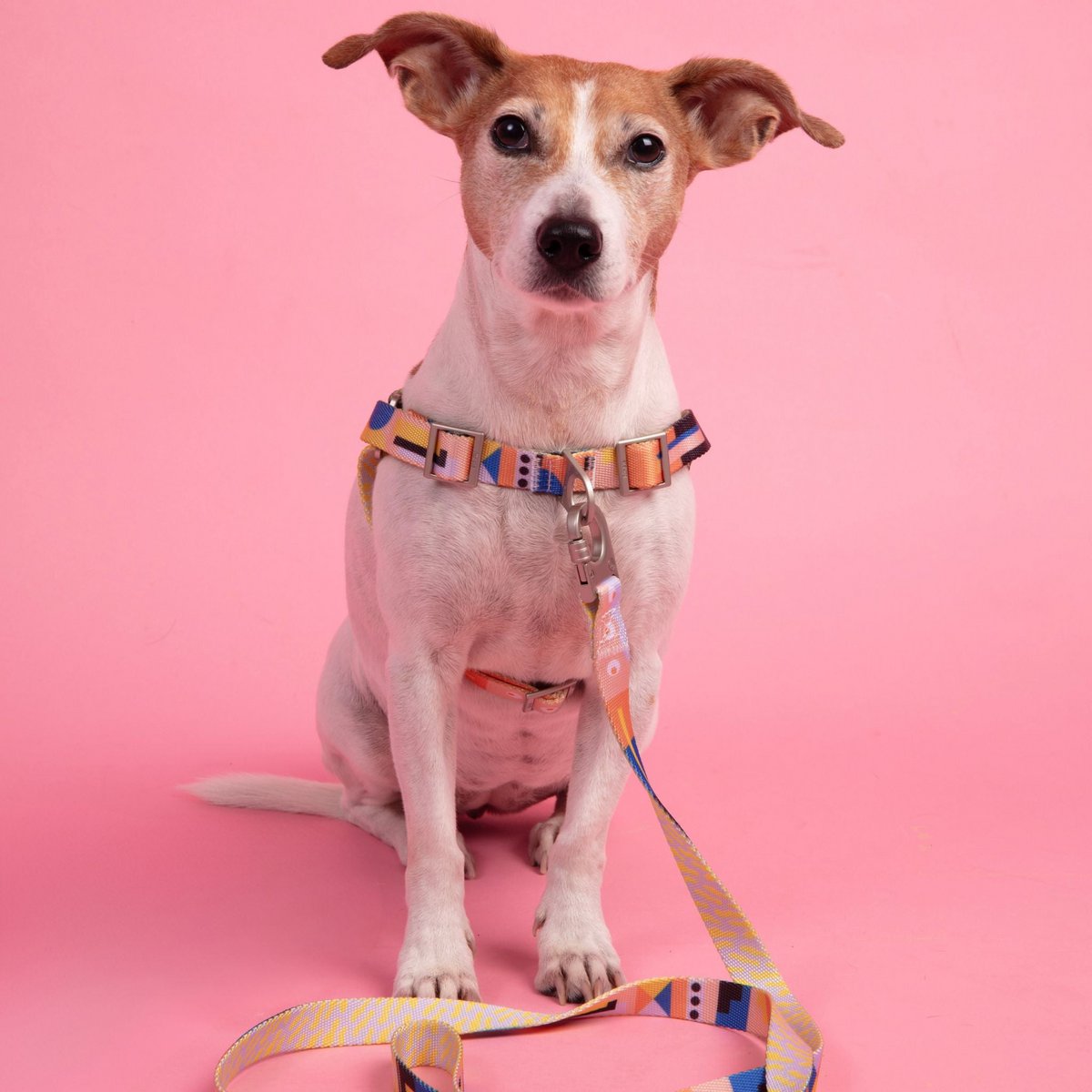 Una No-Pull Dog Harness