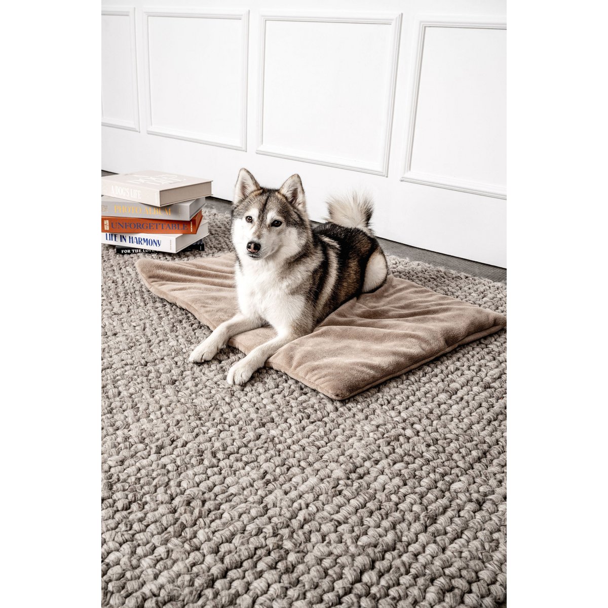 Hundedecke Emma Beige (végétalien)