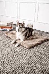 Hundedecke Emma Beige (vegansk)