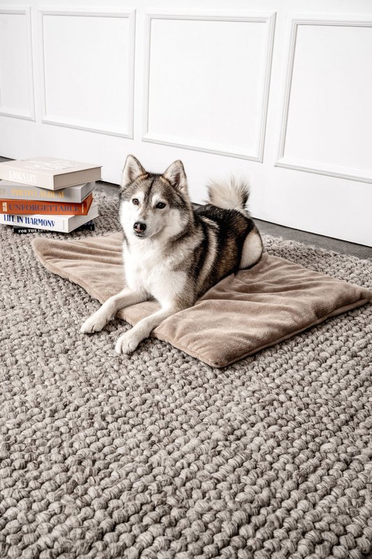 Hundedecke Emma Beige (vegansk)
