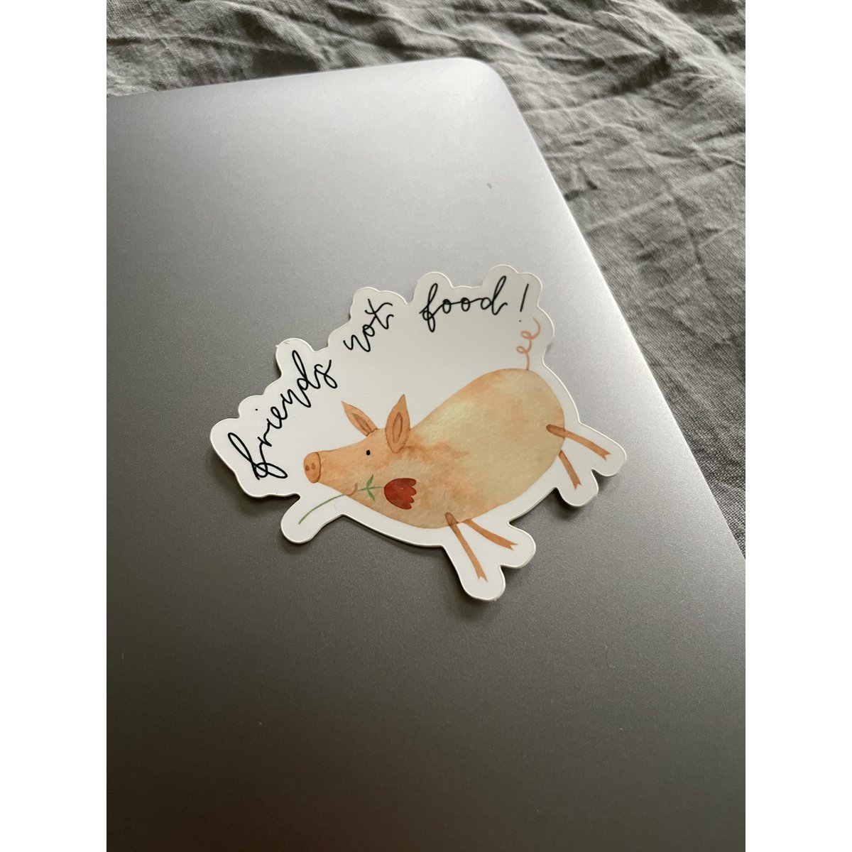 Vinyl Sticker Friends not food, pig
