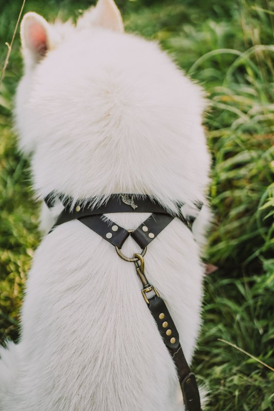Brettura norvegesi per un cane del marchio di cuccioli soffici, pelle naturale, 3 taglie, fatte a mano!