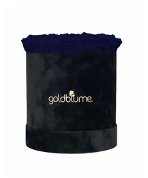 Velvet Black Collection
