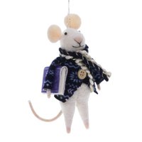 Mouse with blue coat and book
