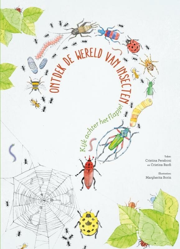 Discover the world of insects