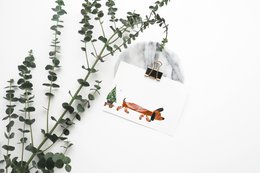 carte postale - série 'Noël' - 'Noël Teckel'