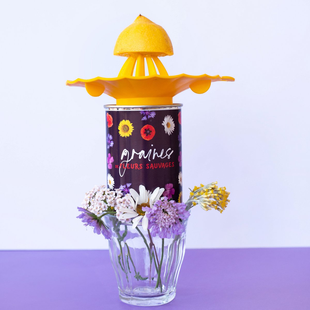 Kit de siembra “Semillas Silvestres”