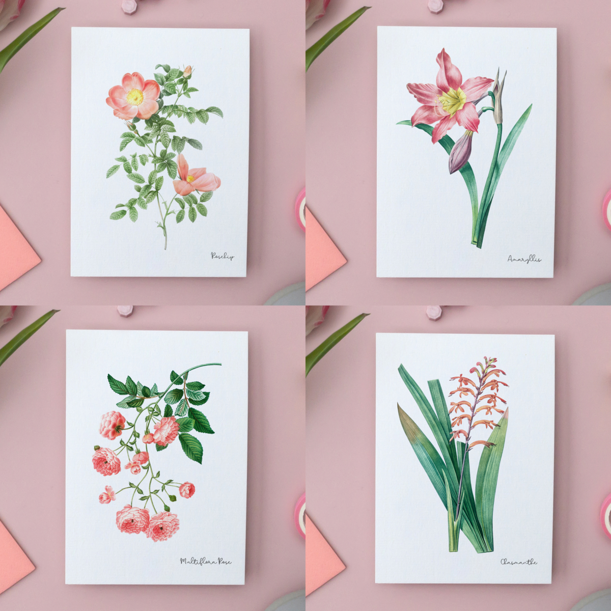 All Colors Pack - Handmade Postcards A6 with Envelope - Botanical Vintage