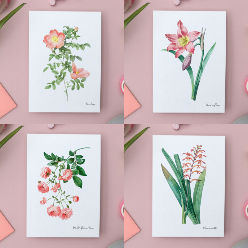 Pack Todos los Colores - Postales Hechas A Mano A6 con Sobre - Botanical Vintage